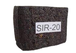zo-th-1