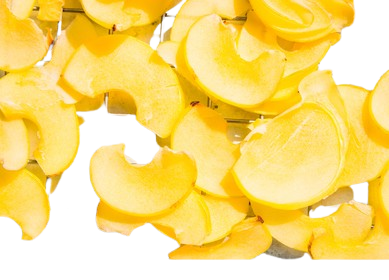 zo-th-1