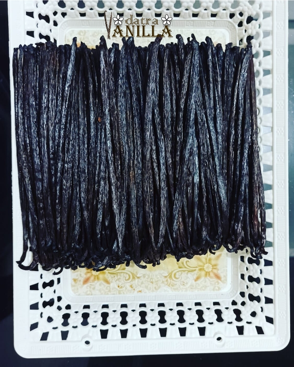 zo-th-1