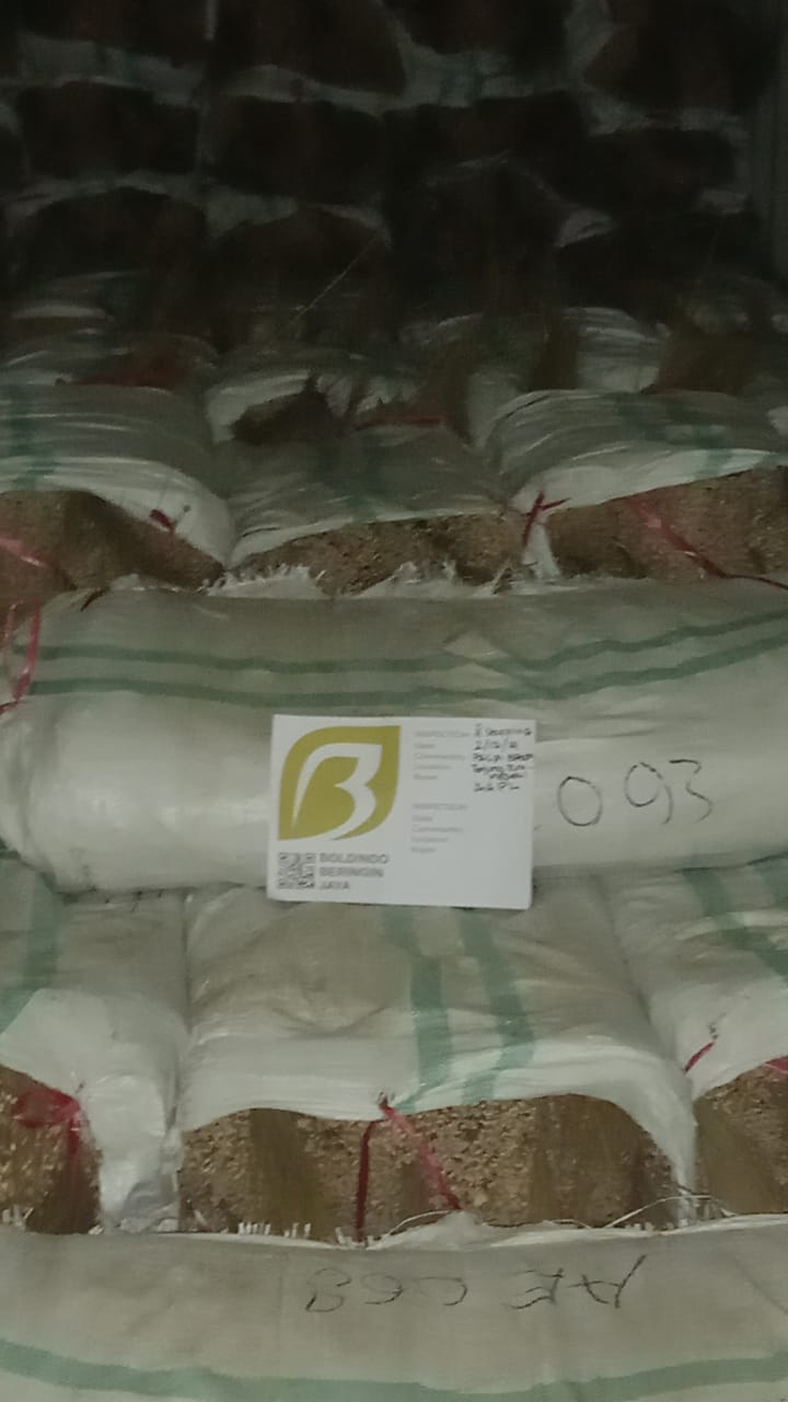 zo-th-1