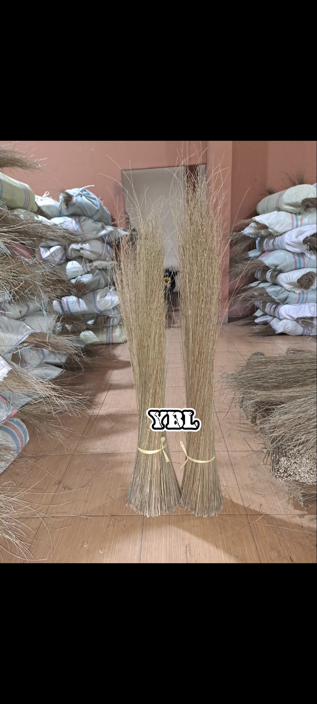 zo-th-1