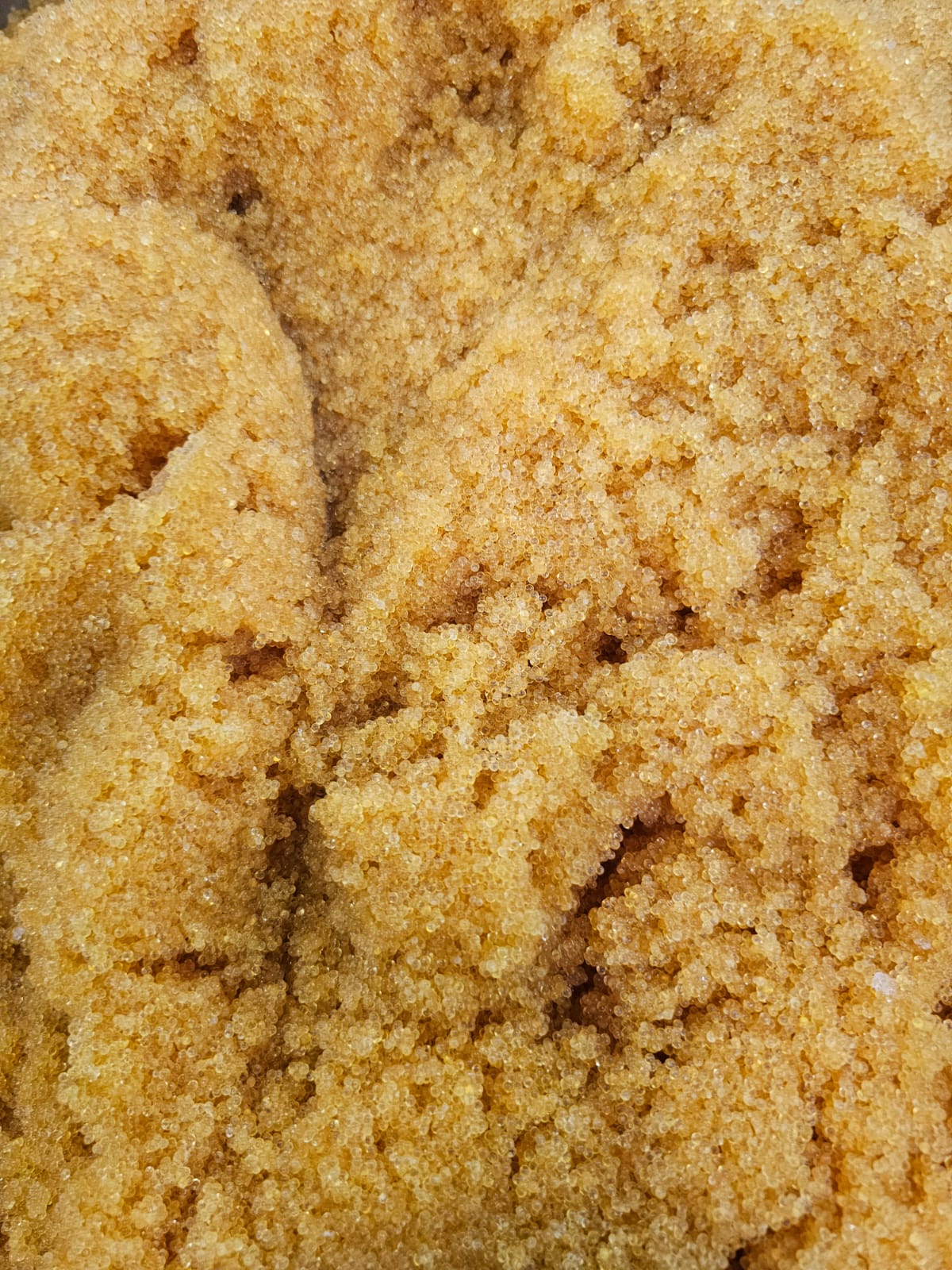 zo-th-1