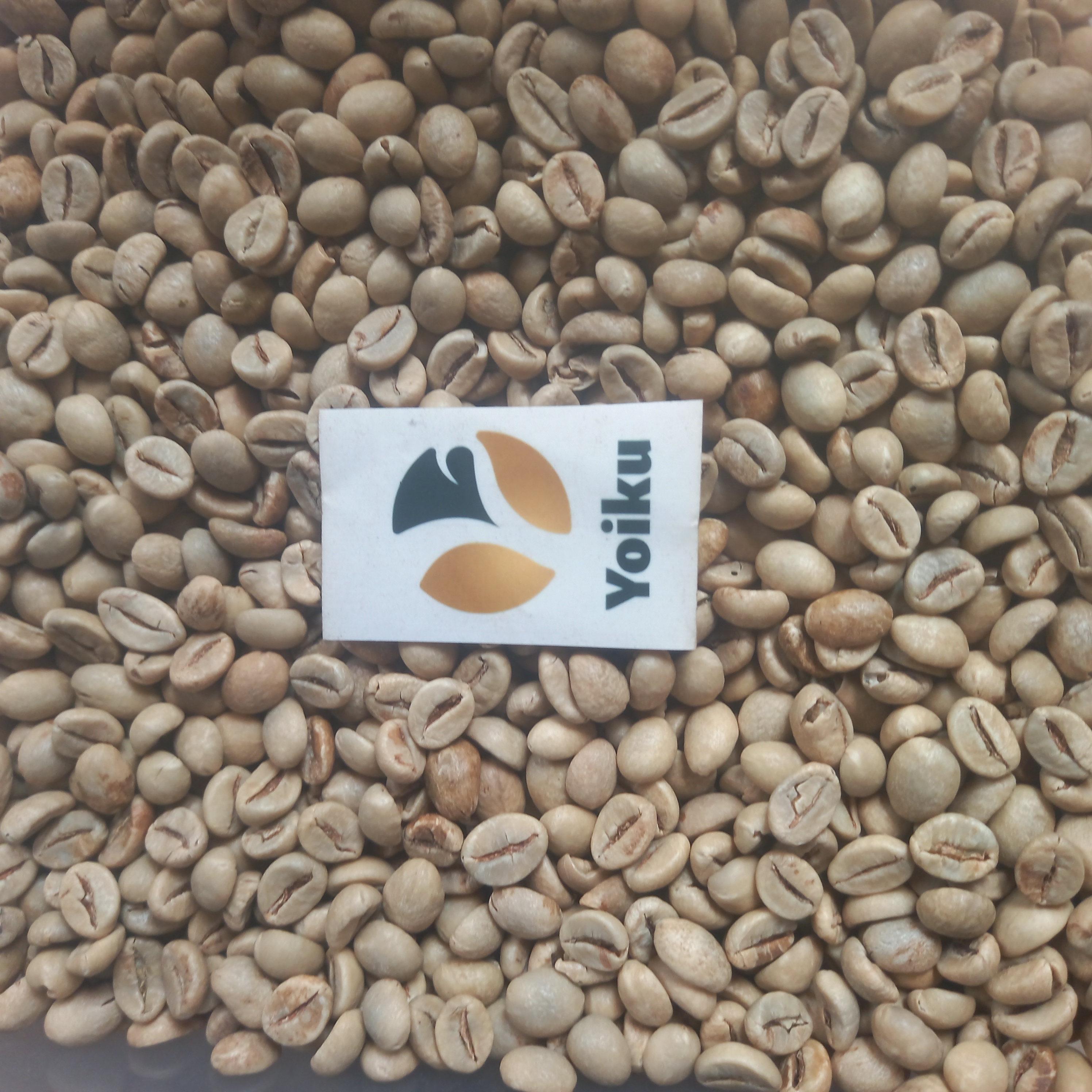 Green bean Robusta 1 kg