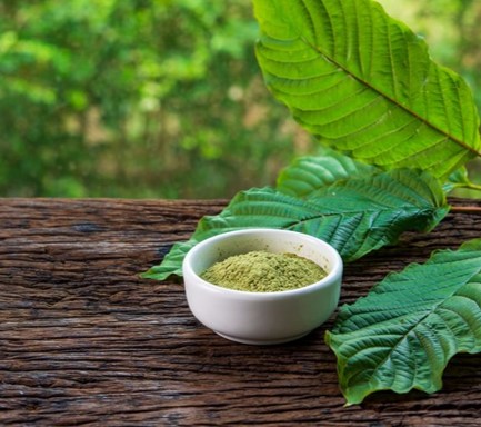 Kratom Powder