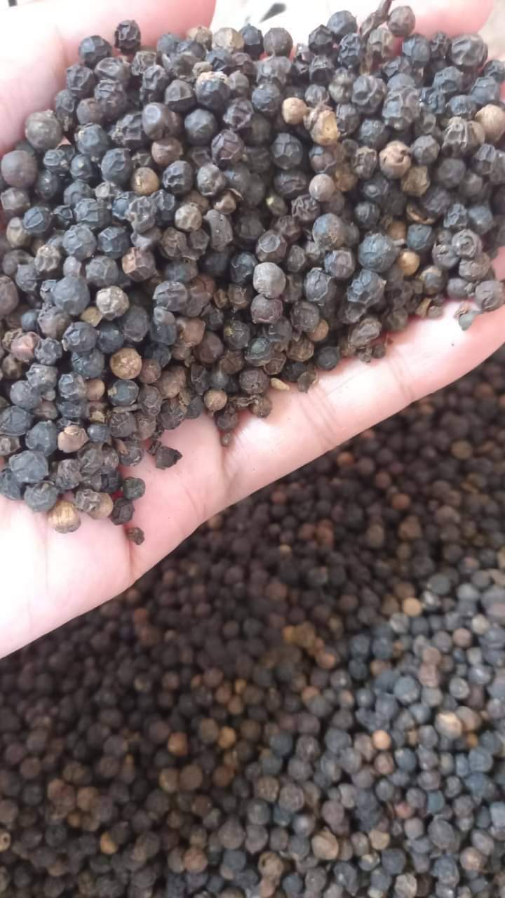 Wheat Flour From Cassava HS Code 1106 20 10 Inaexport Wheat flour from cassava hs code 1106 20 10 inaexport