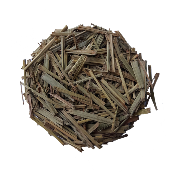 zo-th-1