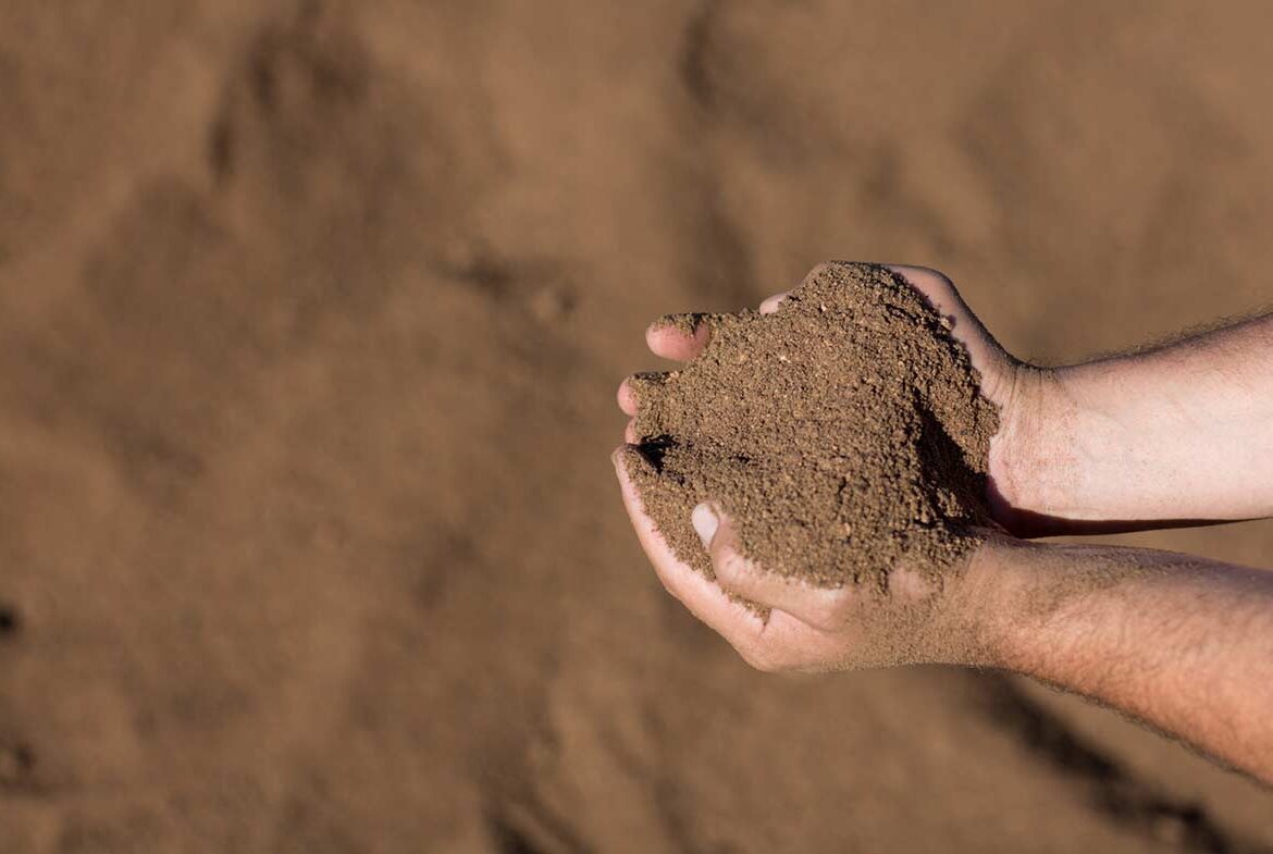 Palm Kernel Cake