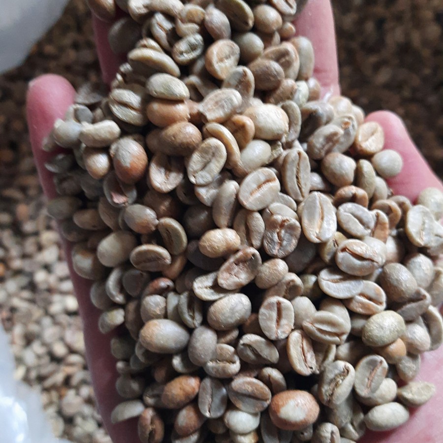 Java Preanger Arabica Fullwash - Grade 2 (Commercial Coffee) | Inaexport