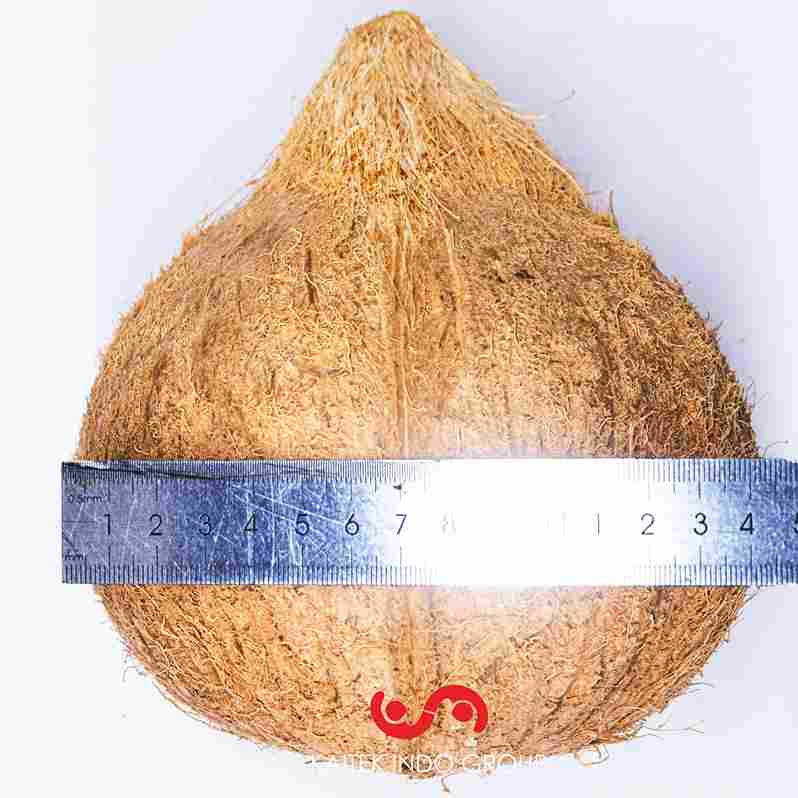 zo-th-1