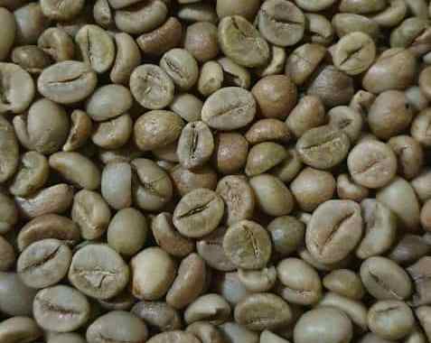 Robusta Coffee - Java - Grade 1 | Inaexport