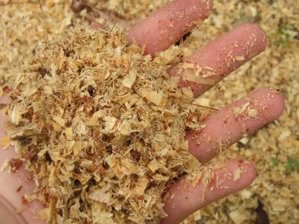 sawdust