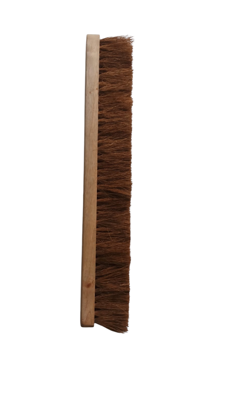 zo-th-1