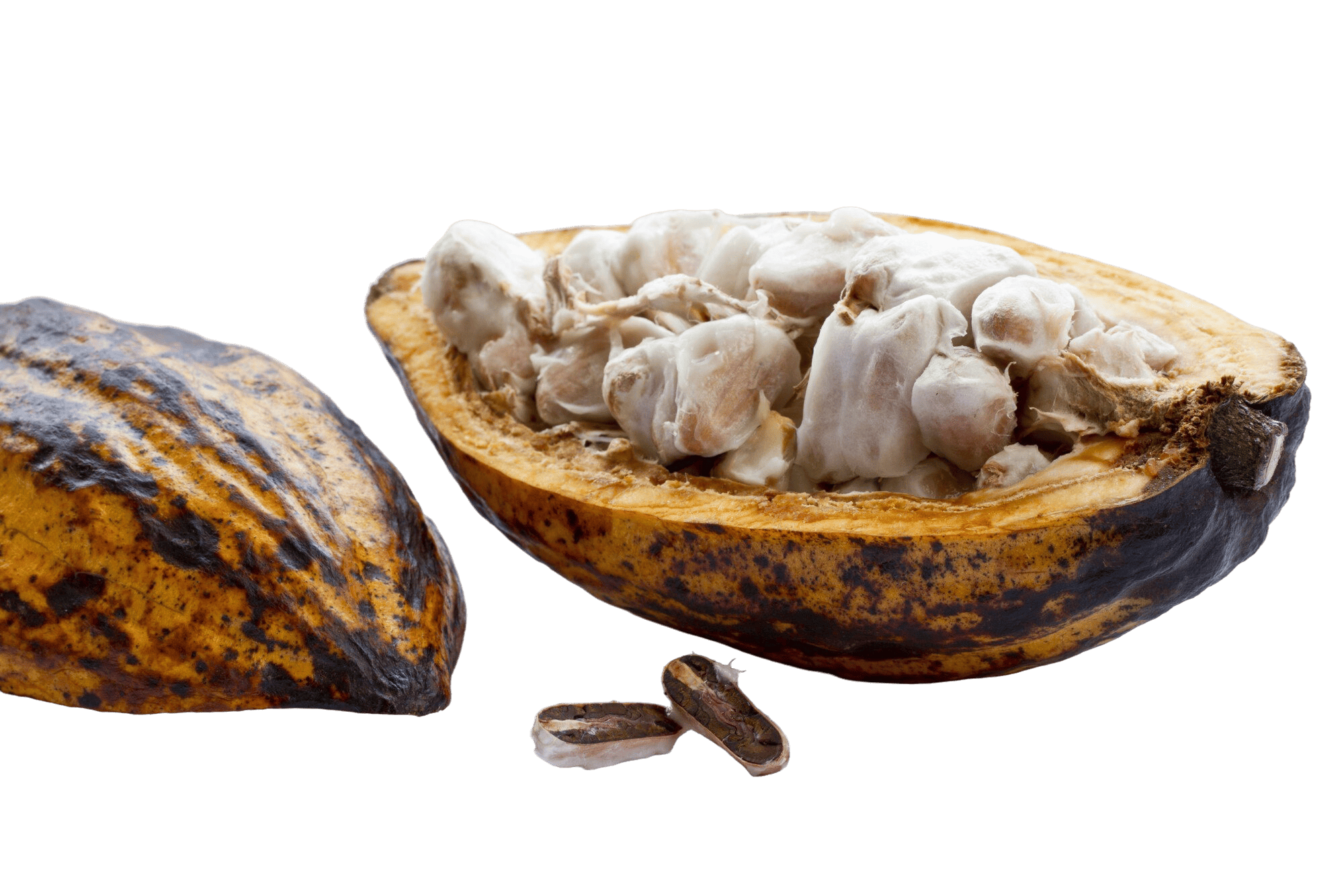Fermented Cacao Beans - Grade A