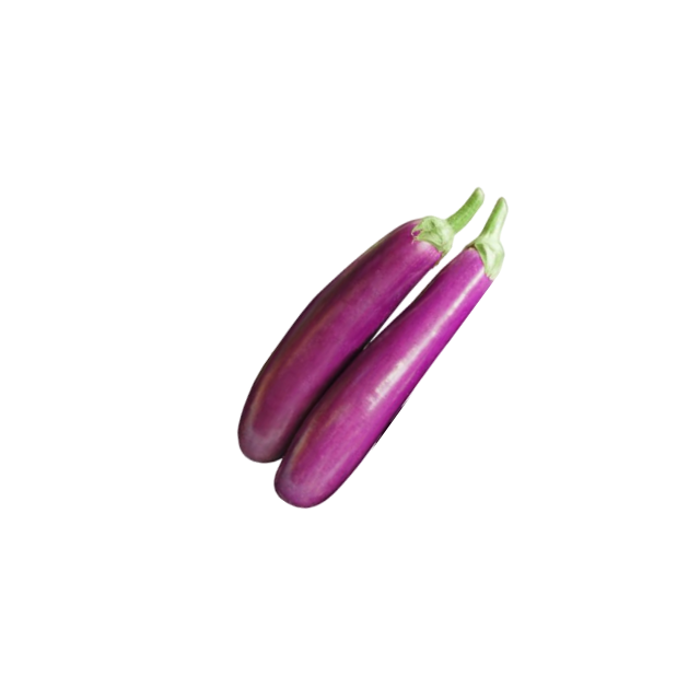 Purple Eggplant Inaexport